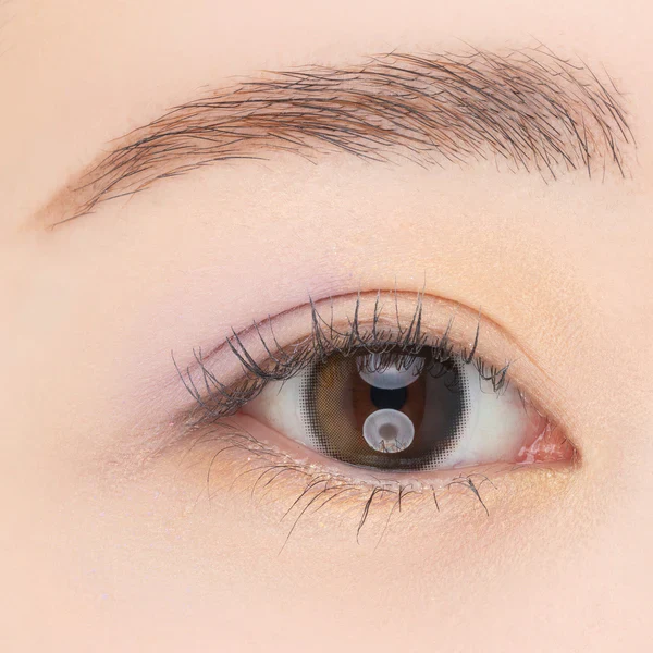 Paul & Joe Eye Design Palette - Image 23