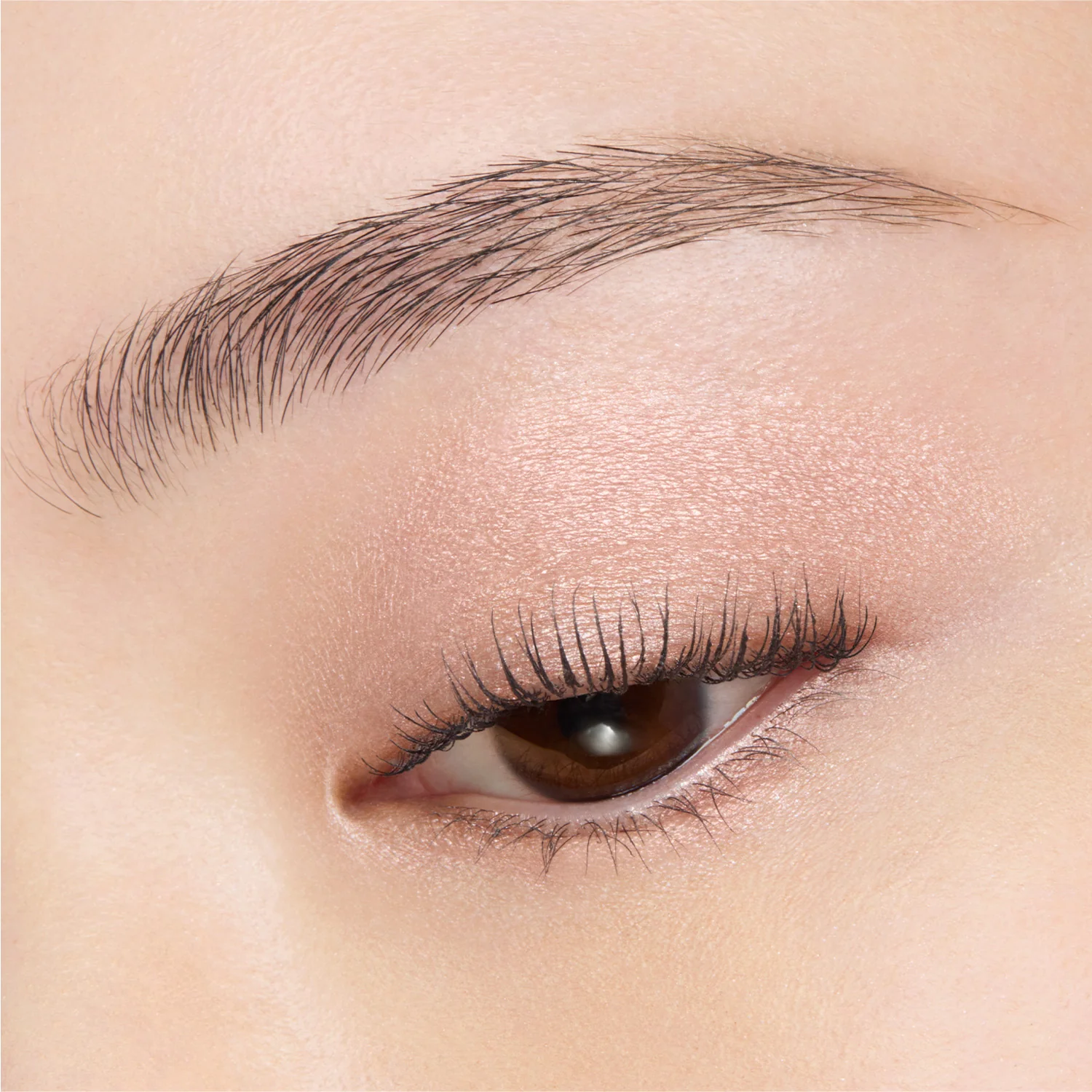 Suqqu Mono Look Eyes 2026 Autumn Collection - Image 9